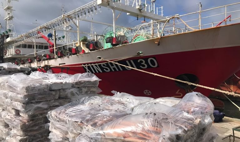 Madryn encabeza el récord temprano de descargas de calamar