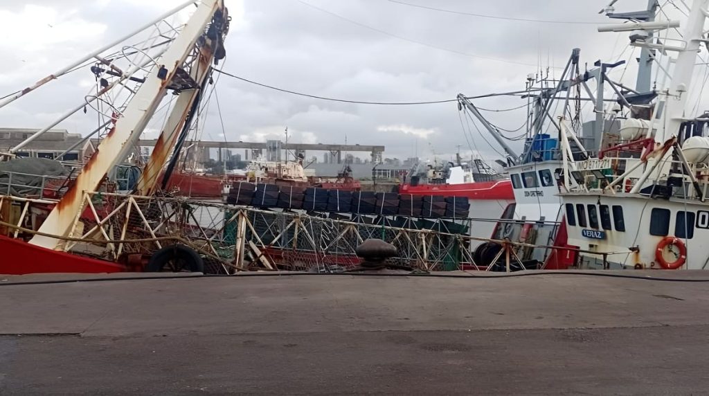Tras el paro nacional, la flota pesquera argentina retoma su actividad en todos los puertos