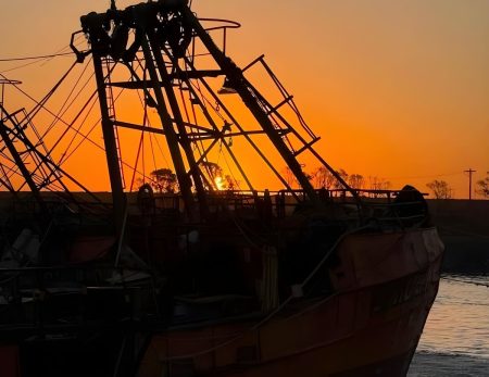 CFP Acta N° 5/2026: distribución de cuotas, avances en calamar y certificación internacional del langostino