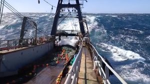 CFP Acta N° 7/2026: Distribución de merluza, prospección de calamar y pedido de cuota social de langostino para Santa Cruz