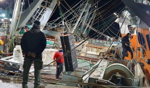 Cierre de la zafra en Rawson: el rol de los estibadores en el puerto