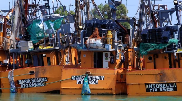 Finalizó la temporada de langostino 2025-2026 en aguas provinciales de Chubut