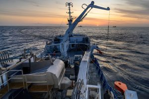 Informe sobre pesquerías en Chile: persiste la preocupación por la merluza común