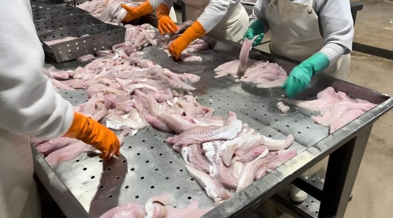 El Gobierno elimina la exigencia de habilitación municipal en el Registro de la Pesca