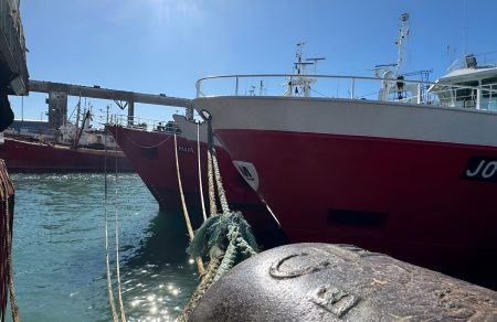 El SOMU y las cámaras pesqueras continúan sin acuerdo por los valores de producción