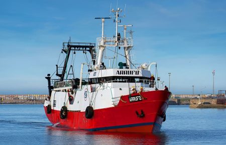 Langostino: la apertura mira a abril, las empresas miran Barcelona y miles de marineros, la posibilidad de trabajar