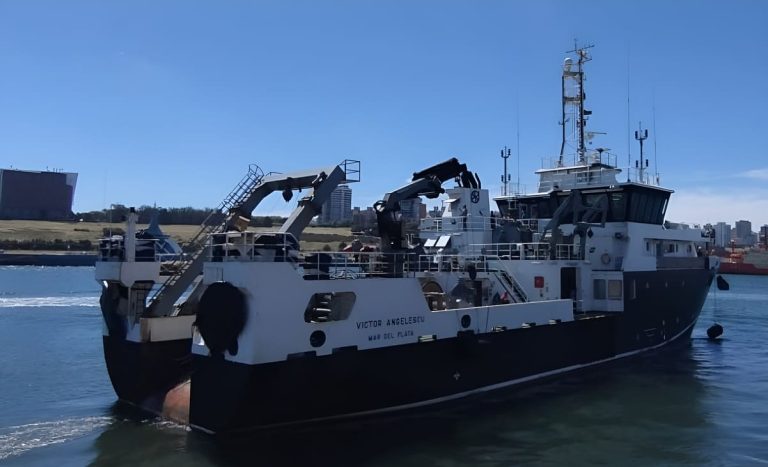 INIDEP inició campaña para evaluar el stock bonaerense-norpatagónico de calamar illex