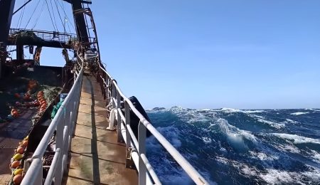 IPI febrero: aumenta 14,3% la actividad, con realidades opuestas entre flotas