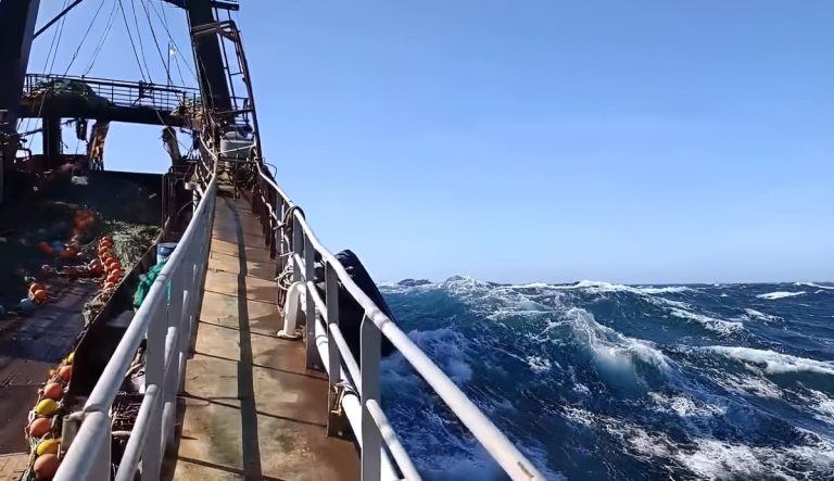 IPI febrero: aumenta 14,3% la actividad, con realidades opuestas entre flotas