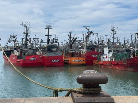 Merluza y variado costero: prorrogan la suspensión del DUE para sostener a la flota fresquera