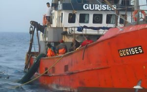 Acta CFP Nro. 9/2026: asignación de merluza común, actividad langostinera y medidas para la flota