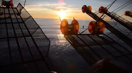 Calamar: habilitan la pesca al norte del 44°S tras los resultados de la prospección