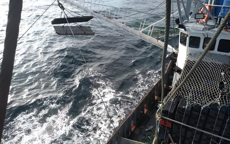 Langostino: habilitan la pesca comercial en cuatro subáreas de la ZVPJM tras los resultados de la prospección