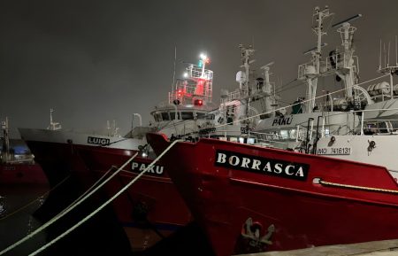 Sorteo definido para la prospección de langostino en aguas nacionales