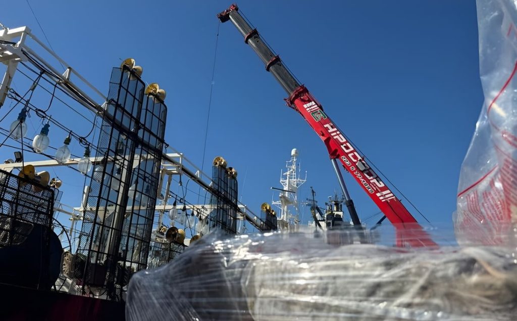 El calamar cierra otra campaña entre las más altas de los últimos años, con casi 190 mil toneladas desembarcadas