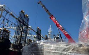 El calamar cierra otra campaña entre las más altas de los últimos años, con casi 190 mil toneladas desembarcadas