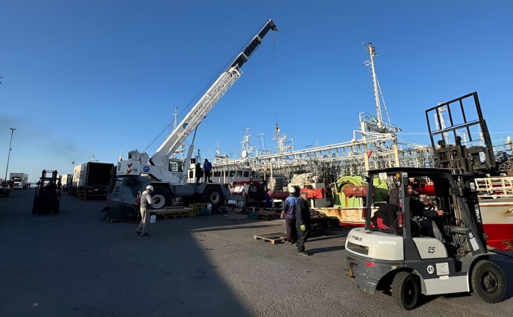 El Índice de Producción Industrial Pesquero creció 31,6% en marzo por el empuje del calamar