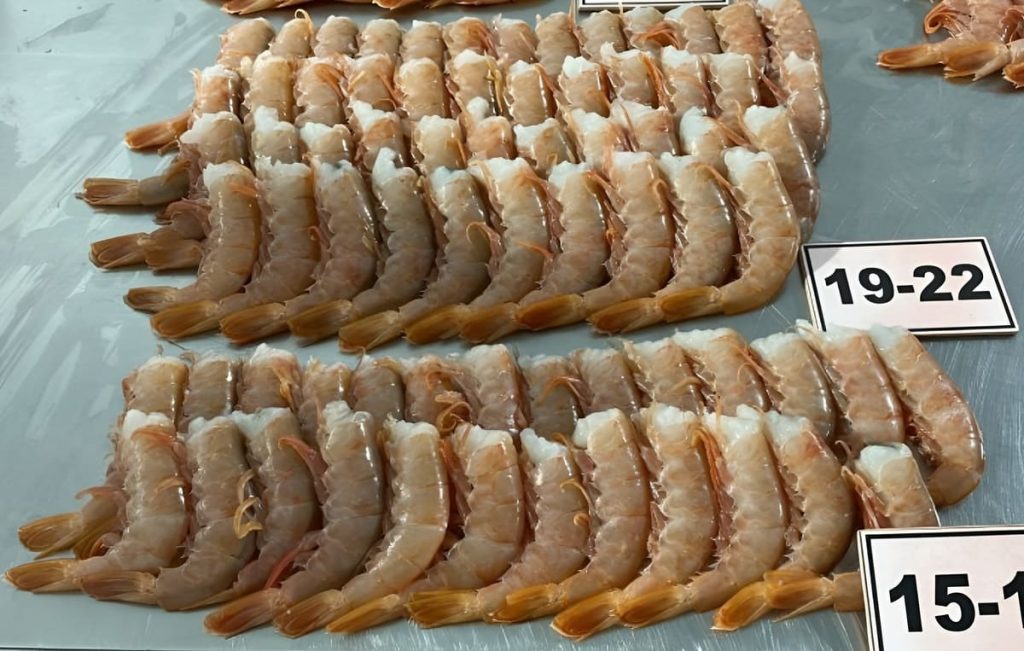 Paraguay gana espacio en la cadena manufacturera regional del langostino argentino