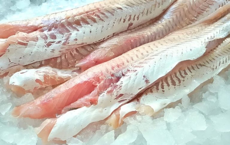 Santa Cruz busca que la cuota de merluza contemple procesamiento en tierra en puertos provinciales