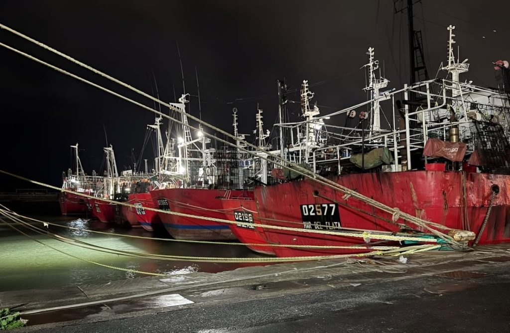 Acta CFP Nro. 13/2026: Debate sobre langostino, nuevos permisos de pesca para poteros y régimen de cuotas de merluza
