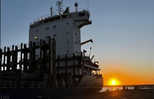 Langostino: el FOB declarado volvió a subir y reabre la disputa por el valor real del recurso