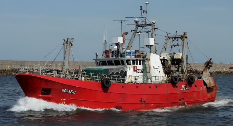 Santa Cruz reclamó 50.000 toneladas de langostino y abrió otro eje para la cuotificación