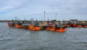 Pesca fresquera pidió emergencia al CFP y reclamó medidas urgentes por costos y rentabilidad