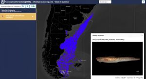 INIDEP presentó un geovisor que permite consultar más de 40 años de datos sobre especies marinas