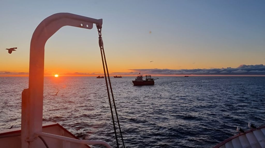 Langostino: la flota vuelve a las zonas habilitadas mientras crecen los desembarques