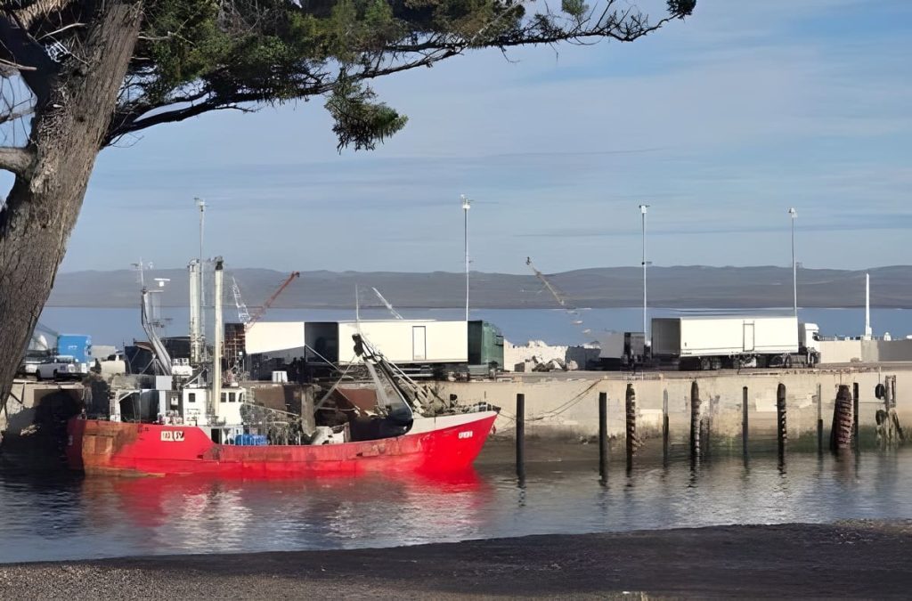 Langostino: Pesca habilitó las subáreas 8 y 14 y amplía la temporada comercial