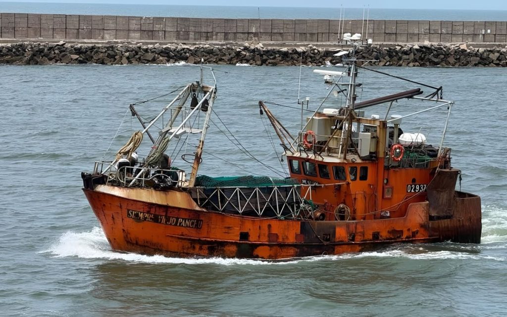 La corvina volvió a escena: quedó habilitada la zafra 2026 en el Río de la Plata