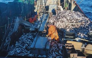 El SIMAPE firma la paritaria fresquera y sostiene la actividad en Mar del Plata