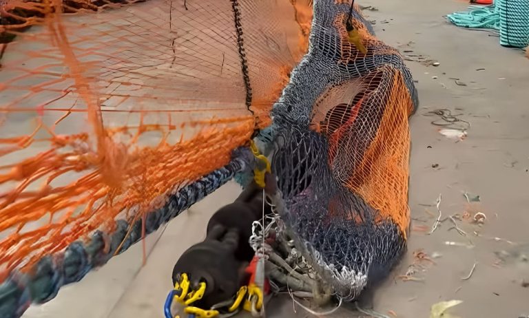 El principal encuentro mundial sobre artes de pesca llegará por primera vez a Sudamérica y tendrá sede en Mar del Plata