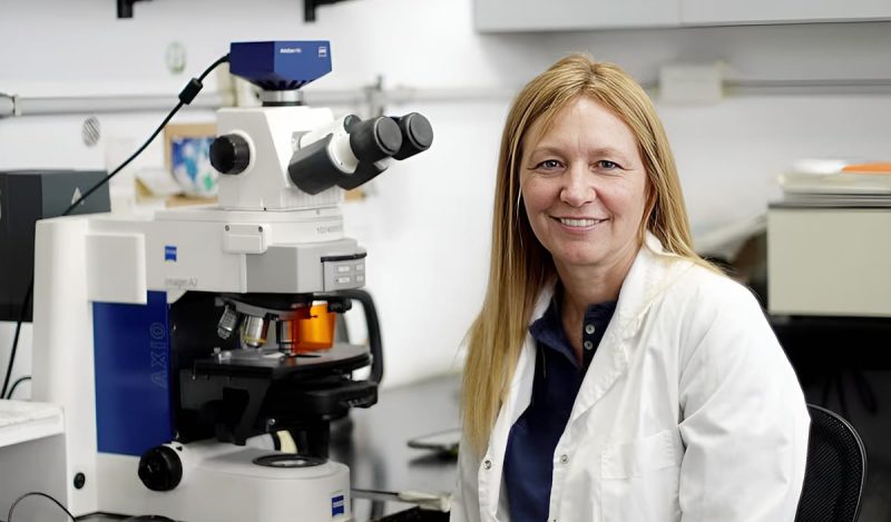 CONICET: qué está pasando con los fondos, los investigadores y las becas