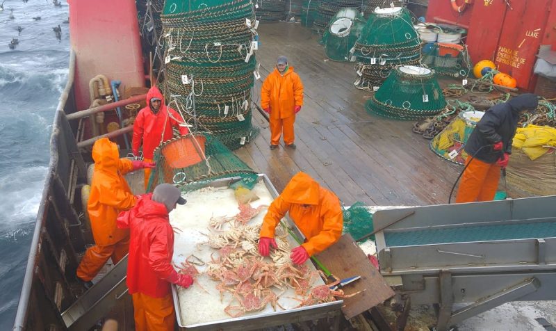 Cambios en proyectos pesqueros: el CFP redujo a cinco años la vigencia de cuatro permisos de pesca