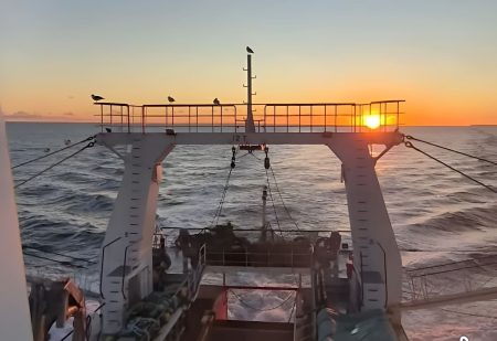 Langostino: la flota marisquera argentina busca evitar capturas incidentales. Esperan prospectar la Subárea 7 y 9