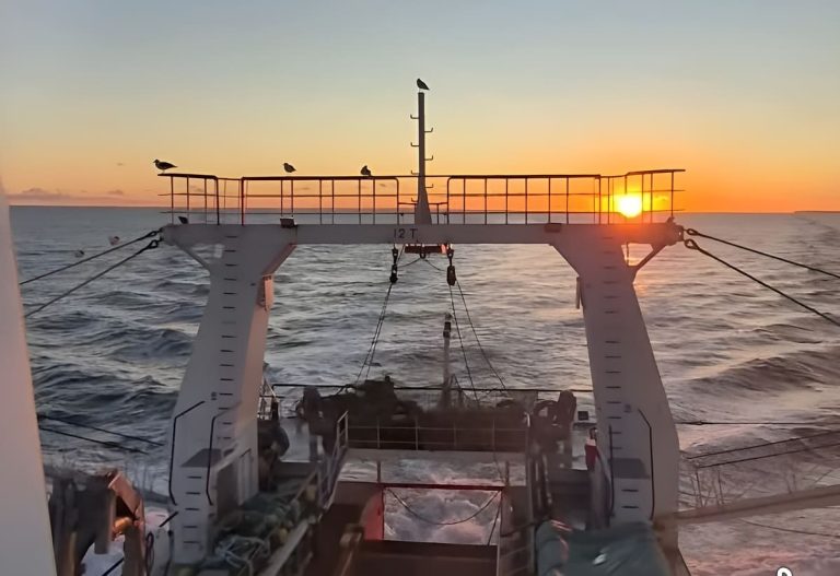 Langostino: la flota marisquera argentina busca evitar capturas incidentales. Esperan prospectar la Subárea 7 y 9