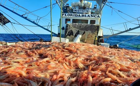 Tecnología e innovación para medir el hábitat del langostino y definir cada lance de pesca