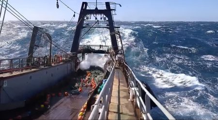 La pesca argentina crece 8% al 1 de julio y reordena el mapa operativo