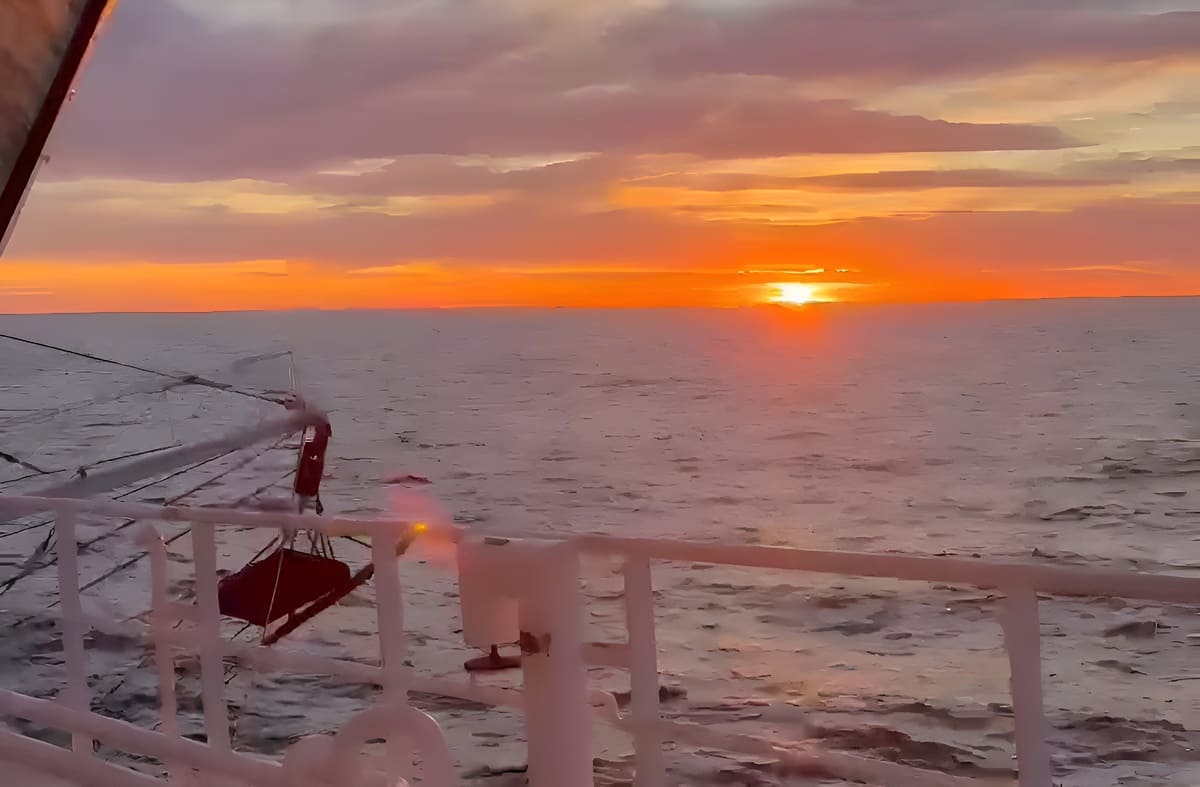 Langostino: la flota retomó la pesca con bajos rindes en las subáreas abiertas