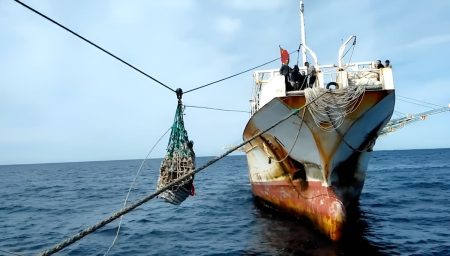 Es ley en Argentina el acuerdo que refuerza el control portuario contra la pesca ilegal
