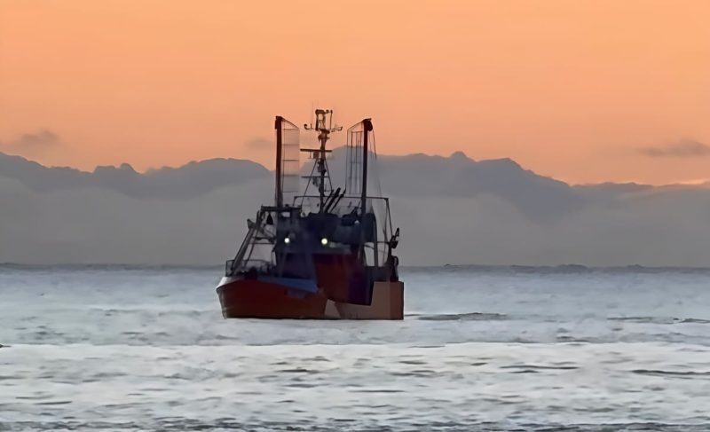 Pesca cerró la Subárea 12 y el sur de la 14 por alta captura incidental de merluza