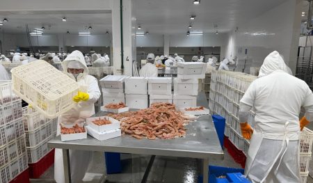 Conarpesa puso en marcha su planta de Rawson y trasladó personal desde Puerto Madryn