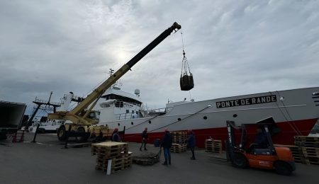 Mar del Plata supera las 217 mil toneladas y sostiene el liderazgo pesquero nacional