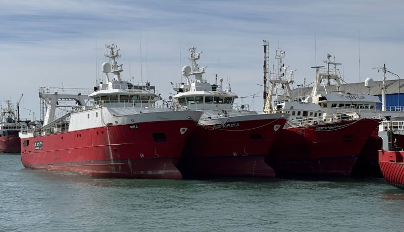 El langostino impulsó la producción pesquera en junio sobre una base paralizada en 2025