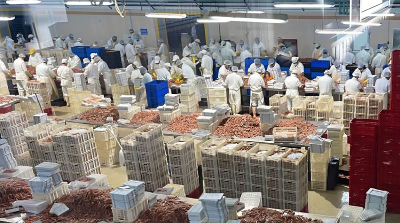 Conarpesa reincorporó a 30 de los 39 trabajadores despedidos tras la toma de sus oficinas