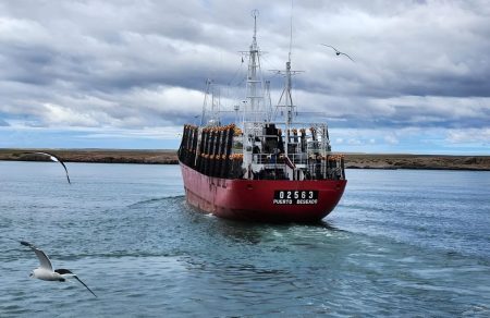 Puerto Deseado incorporará seis nuevos buques poteros tras la aprobación de permisos del Consejo Federal Pesquero