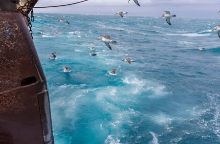 La pesca argentina exportó US$1.610 millones y crece 26,1%