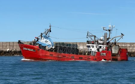 Un proyecto de Ley propone declarar a las Islas Malvinas Símbolo Nacional y exhibirlas en todo el país