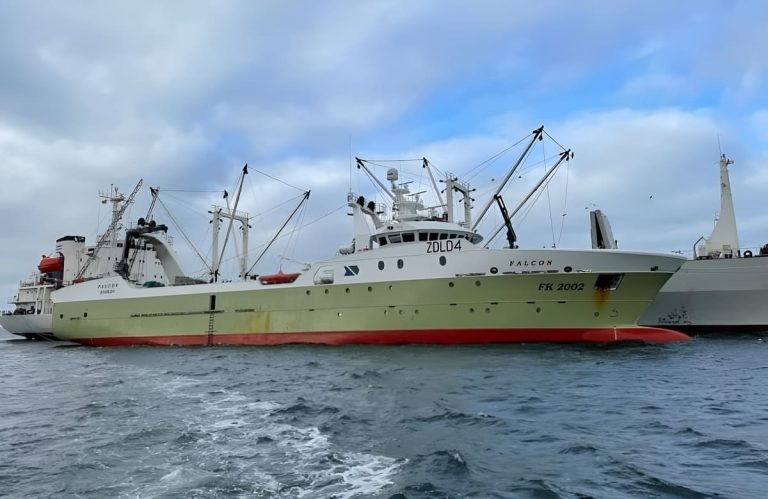 Malvinas: la ley alcanza a las empresas vinculadas con pesca sin permiso